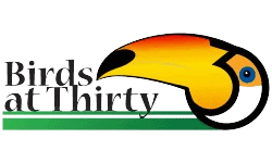 Birds at Thirty